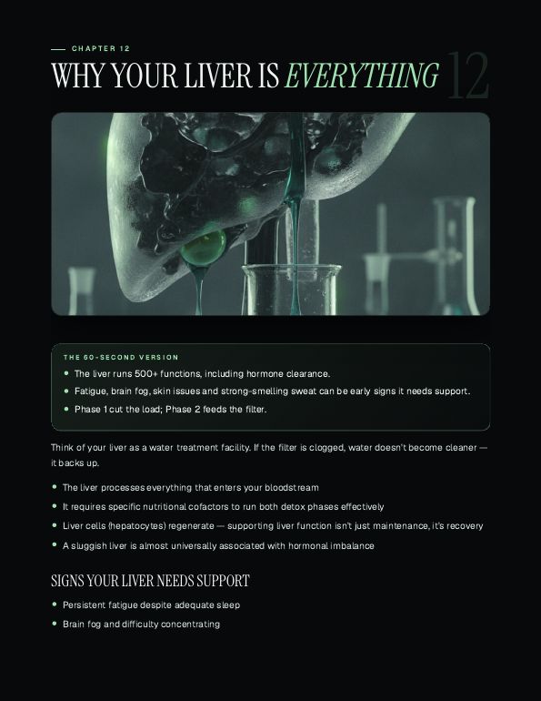 Page preview: Ch. 12 · Your liver